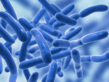 Probiotics: Your Gut's Microscopic Guardians for Whole-Body Health