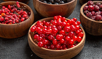 science_module_2-slide-img