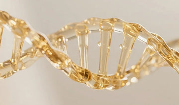 NAD — The Master Molecule of Energy, Repair, and Youthful Function