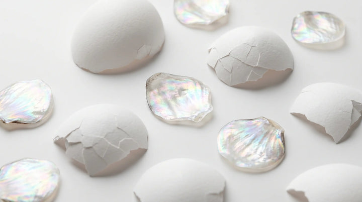 Collagen: Extreme macro photography of delicate eggshell fragments and pearlescent fish scales on a sterile white surface | RevitaPlus ScienceBits