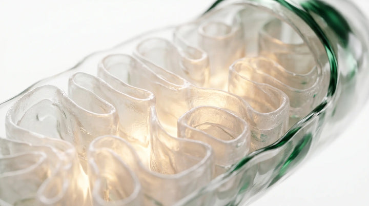 PQQ Mitochondrial Biogenesis: Macro photo of bioluminescent biological structures for cellular renewal | RevitaPlus ScienceBits