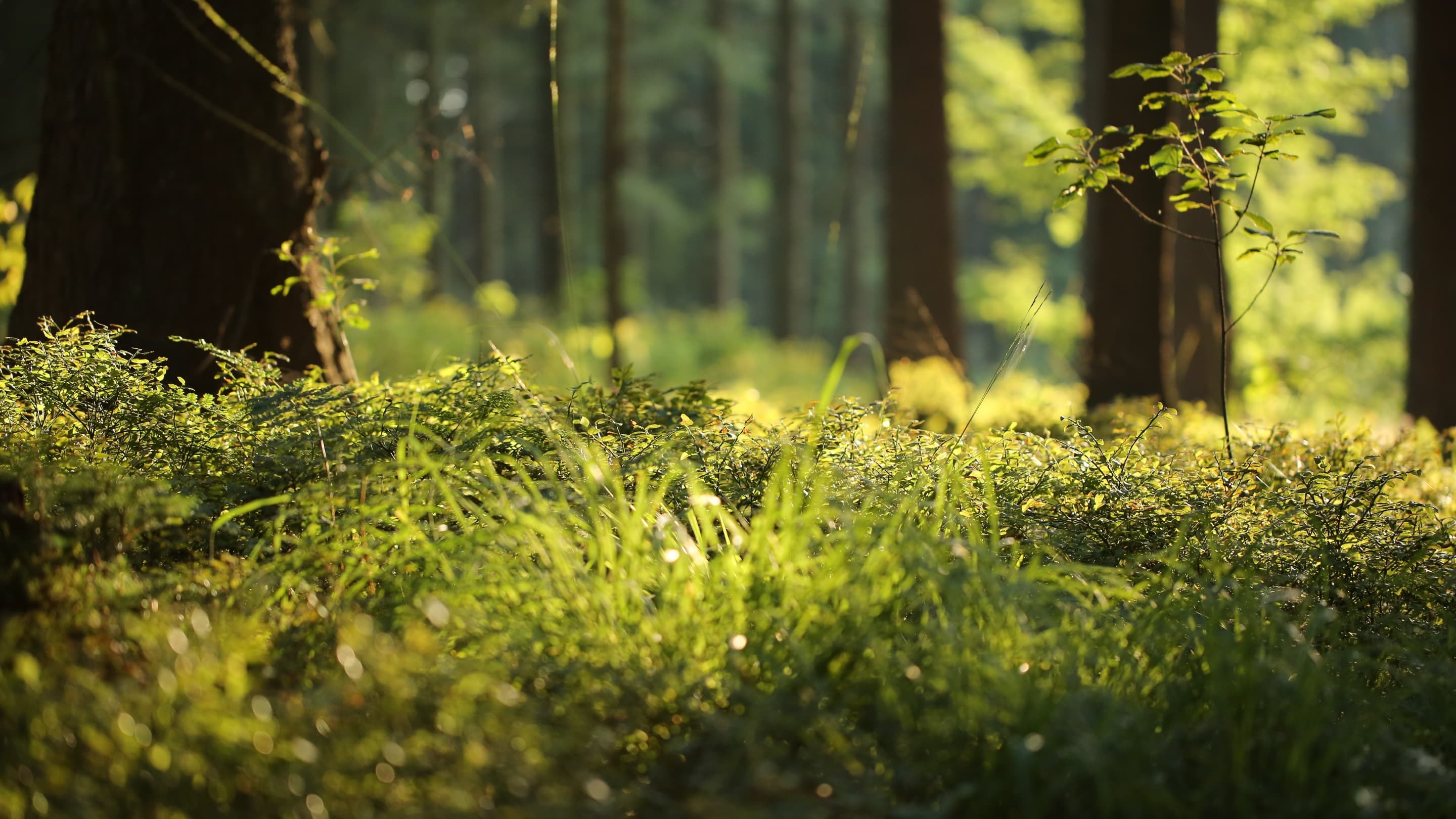 slider image slider_item_kemAQn