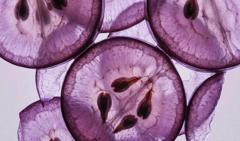 Purple grape slices in macro detail representing resveratrol in a wellness ingredient story
