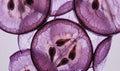 Purple grape slices in macro detail representing resveratrol in a wellness ingredient story