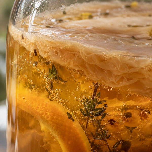 Probióticos y fermentación